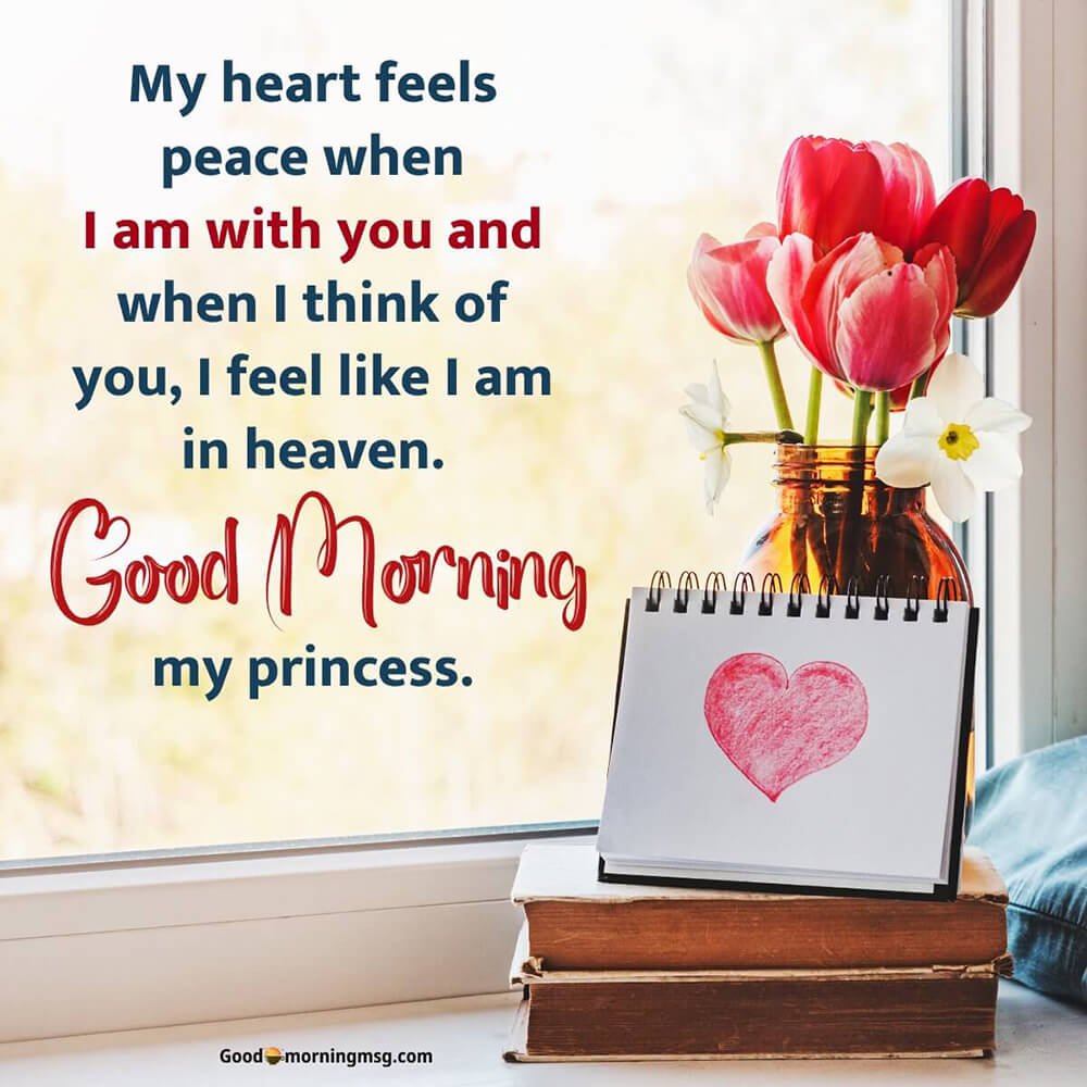 50+ Cute Good Morning Rose Love Images And Nature Pics