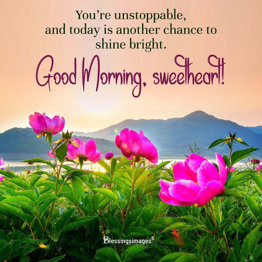 Beautiful Flower Quotes For Instagram Bio I Blessingsimages