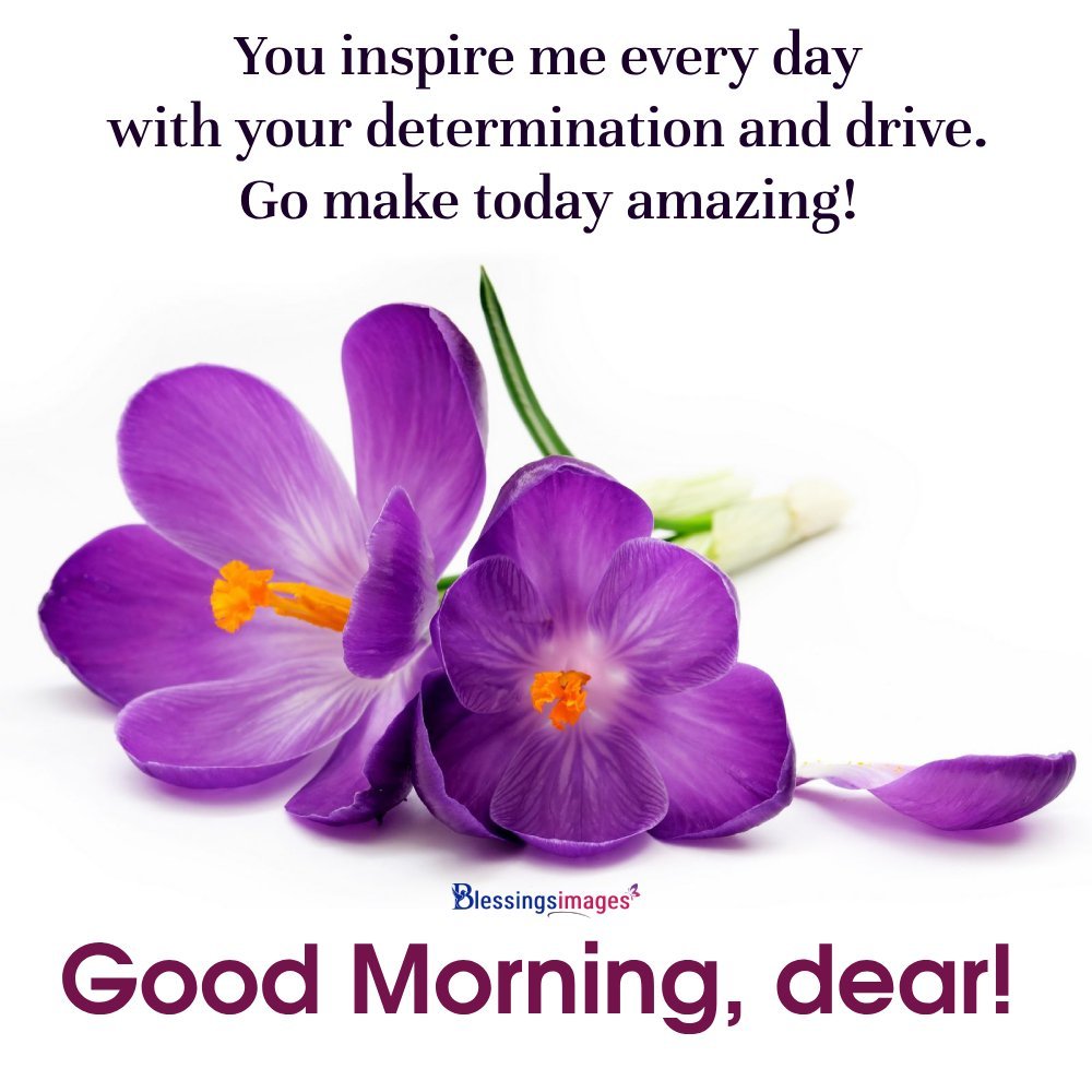 Beautiful Flower Quotes For Instagram For Girl I Blessingsimages