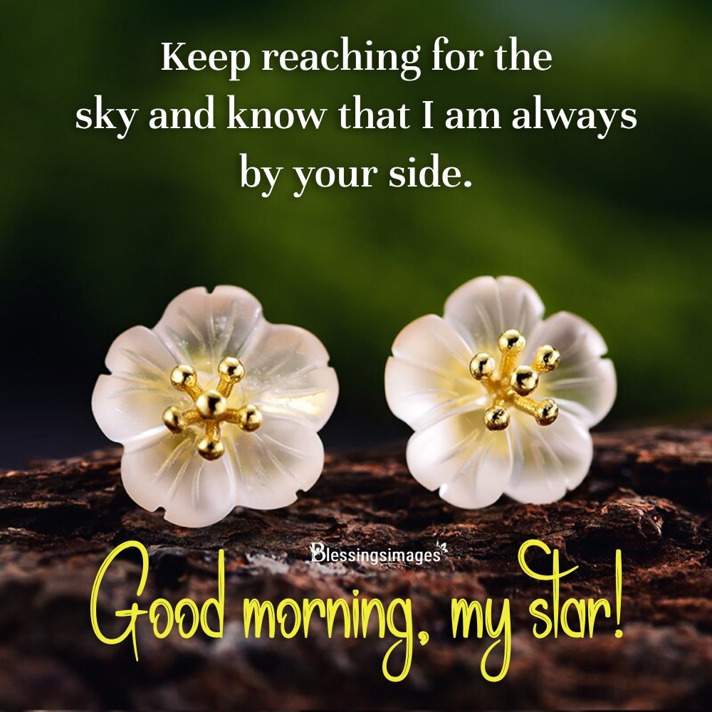 Beautiful Flower Quotes For Instagram Funny I Blessingsimages