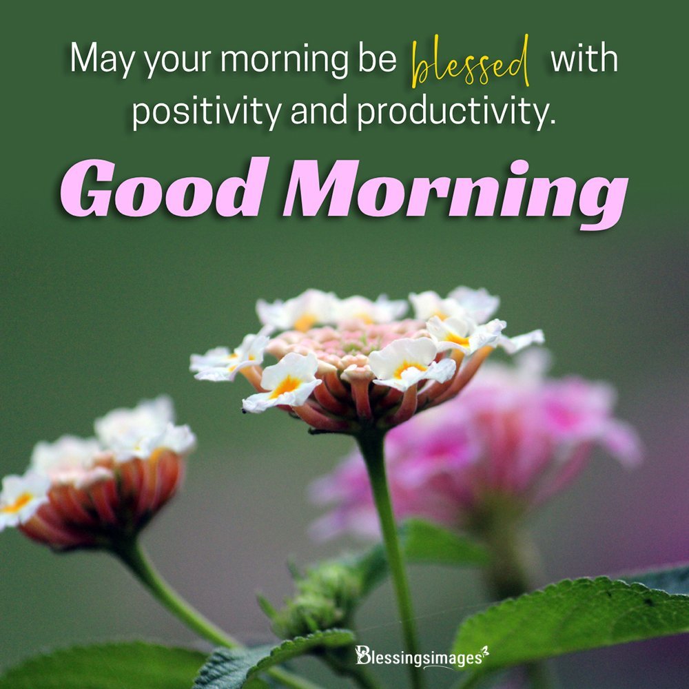 Beautiful Flowers Images I Blessingsimages