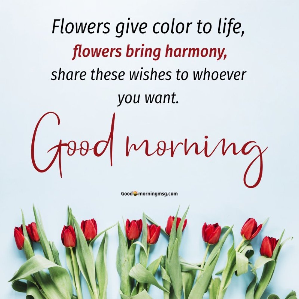 Beautiful Love Good Morning Flowers Quotes And Wallpaper I Blessingsimages