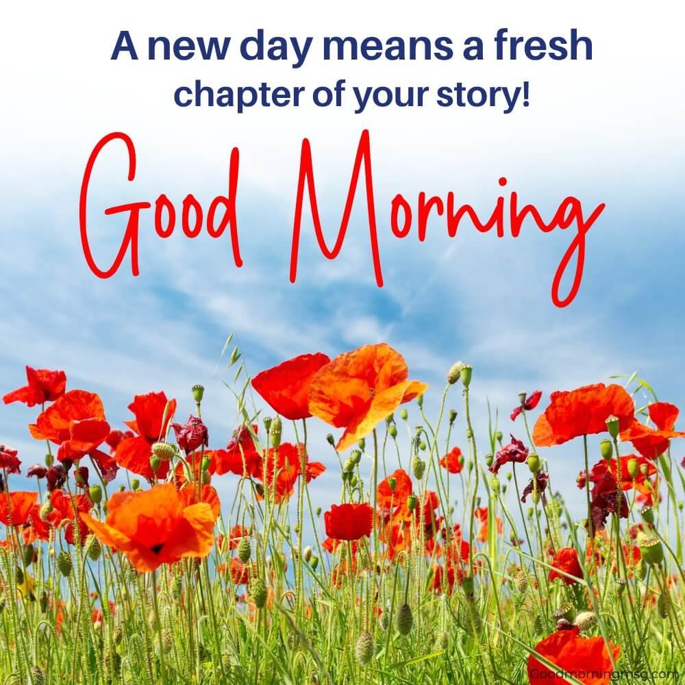 Beautiful Nature Good Morning I Blessingsimages