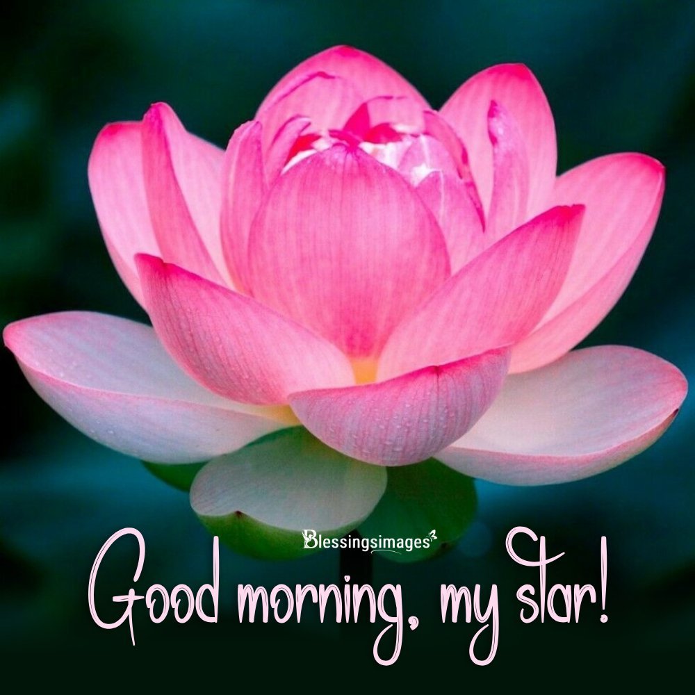 Cute Instagram Flower Quotes I Blessingsimages