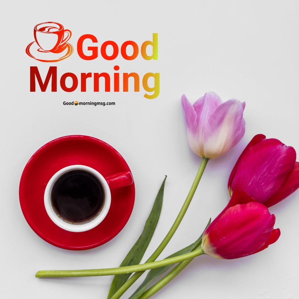 Flower Good Morning Images I Blessingsimages