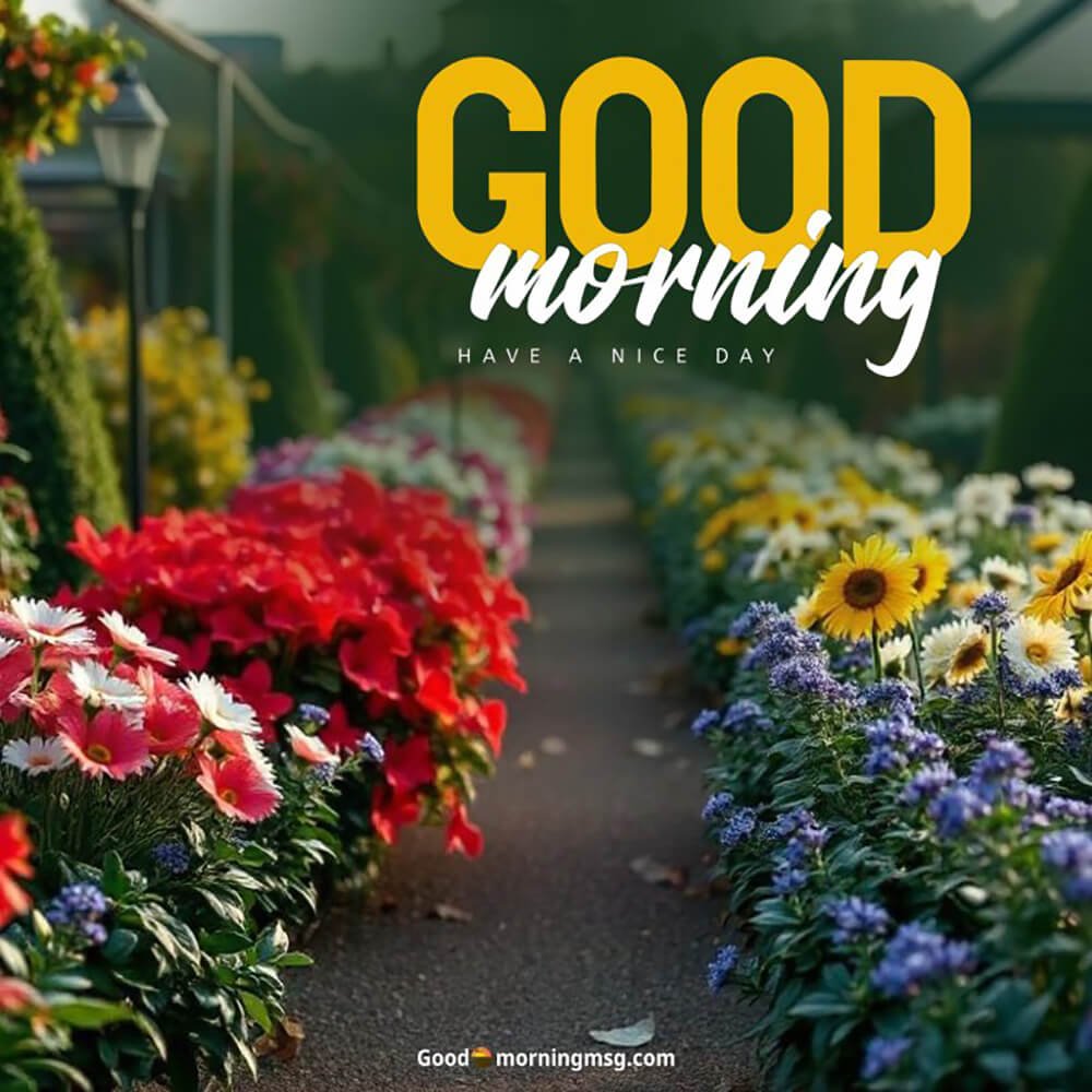 Flower Pic For Love I Blessingsimages