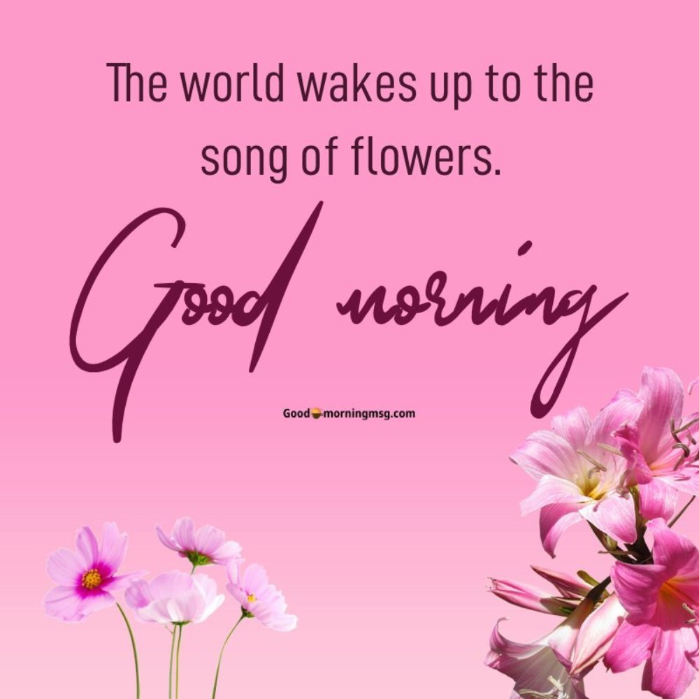 Good Morning And Good Night Images Flowers I Blessingsimages