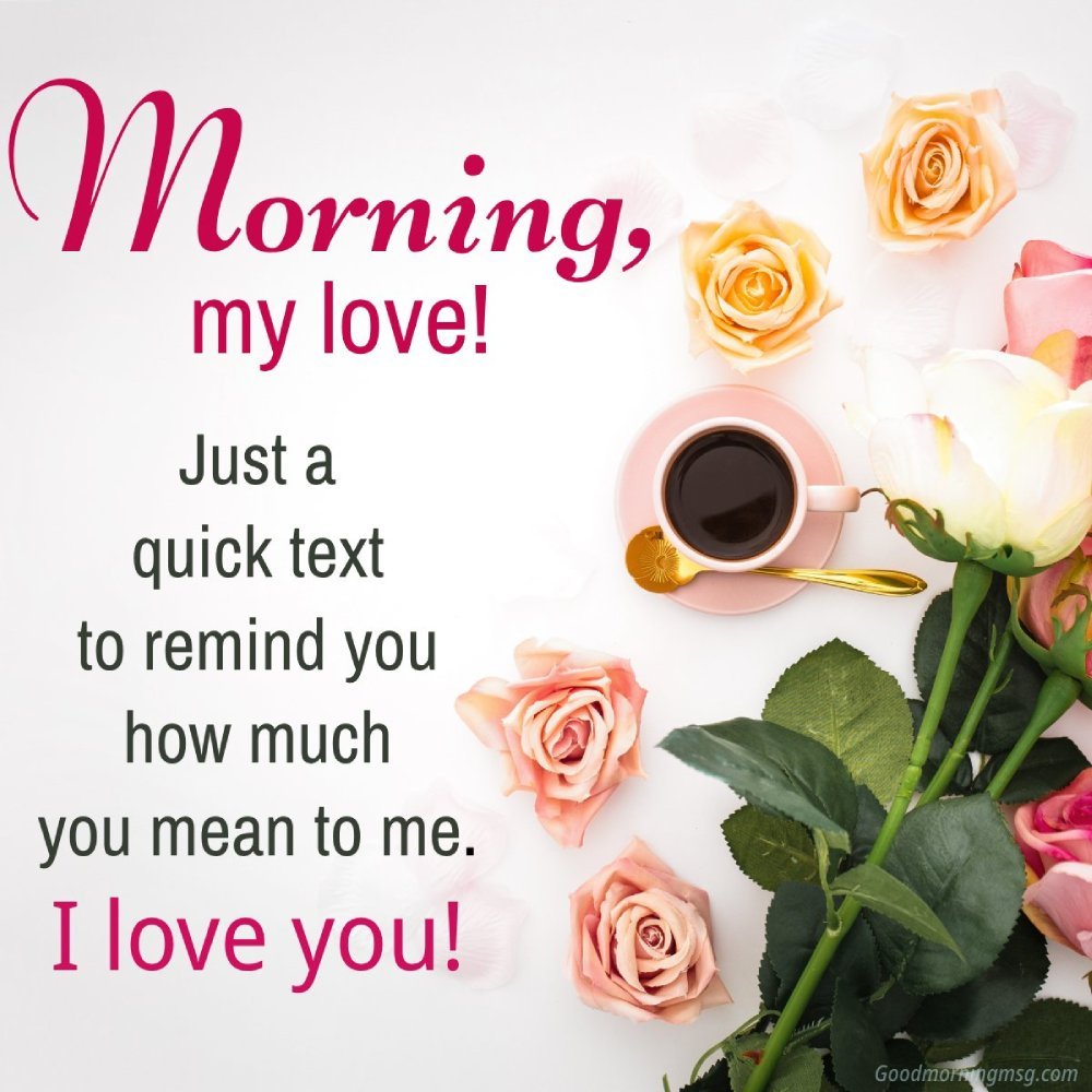 Good Morning Beautiful Rose I Blessingsimages