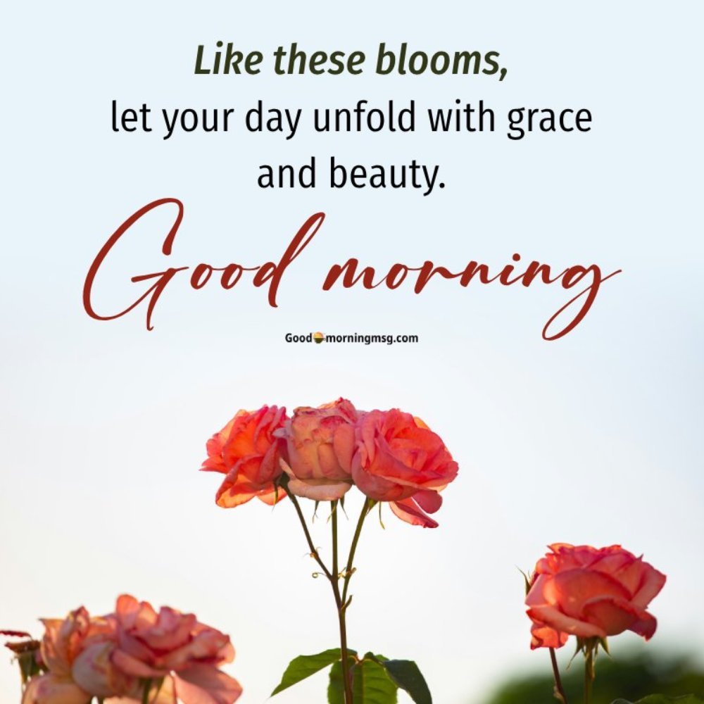 Good Morning Flowers Images App I Blessingsimages