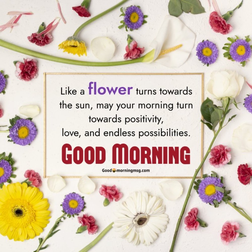 Good Morning Flowers Images Hd New I Blessingsimages