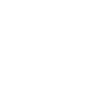 Search Icon