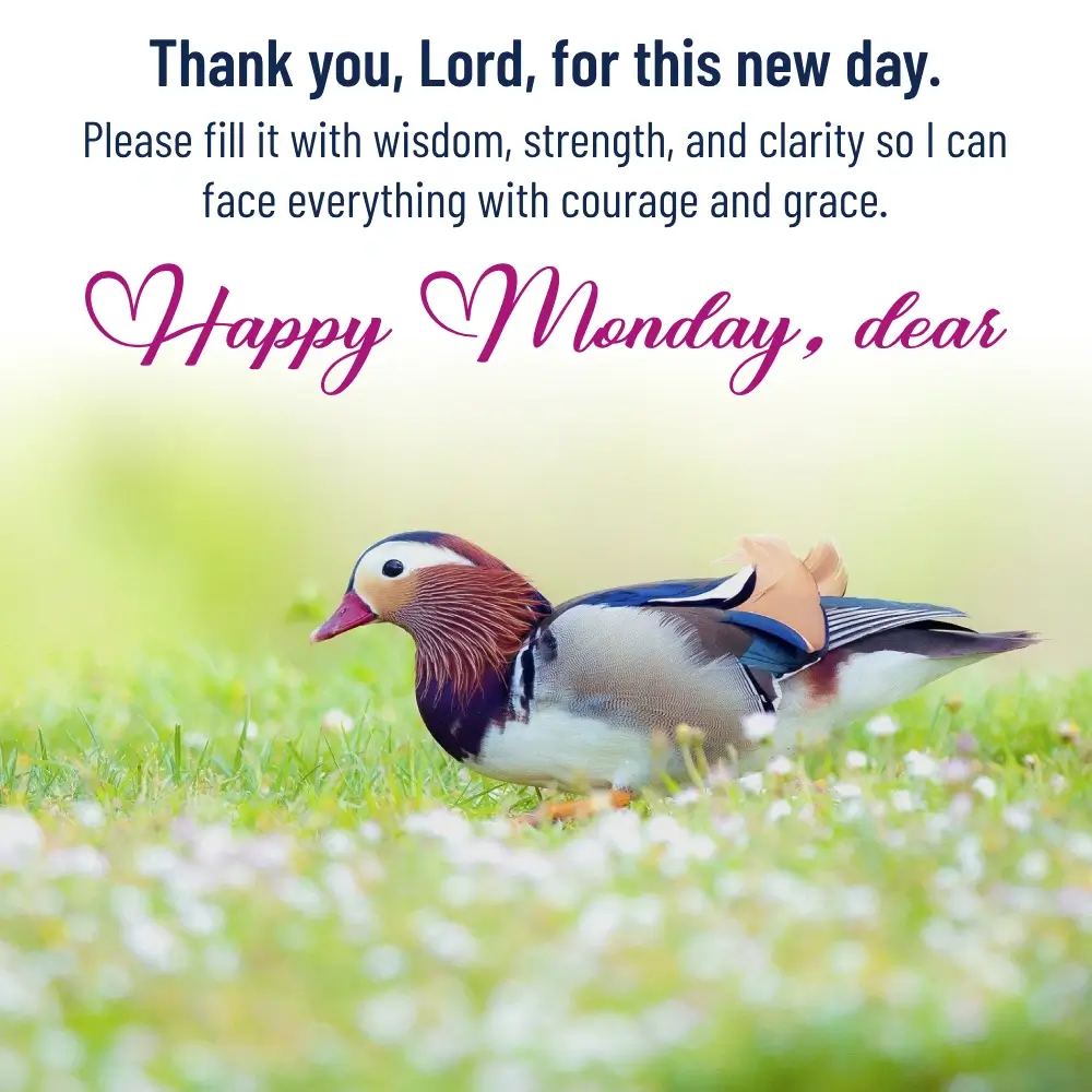 60+ Good Morning Monday Images For Whatsapp