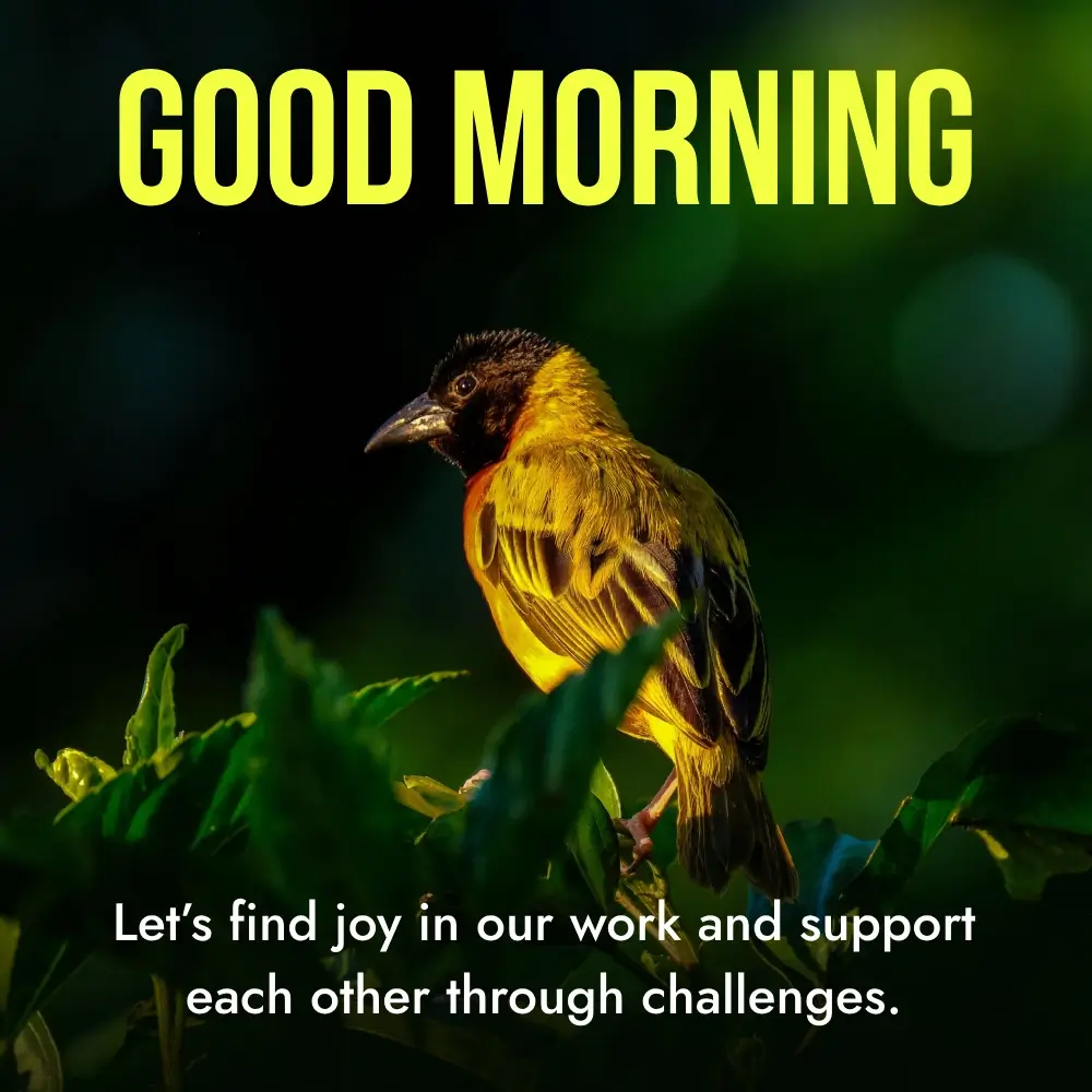 60+ Good Morning Wishes With Beautiful Birds