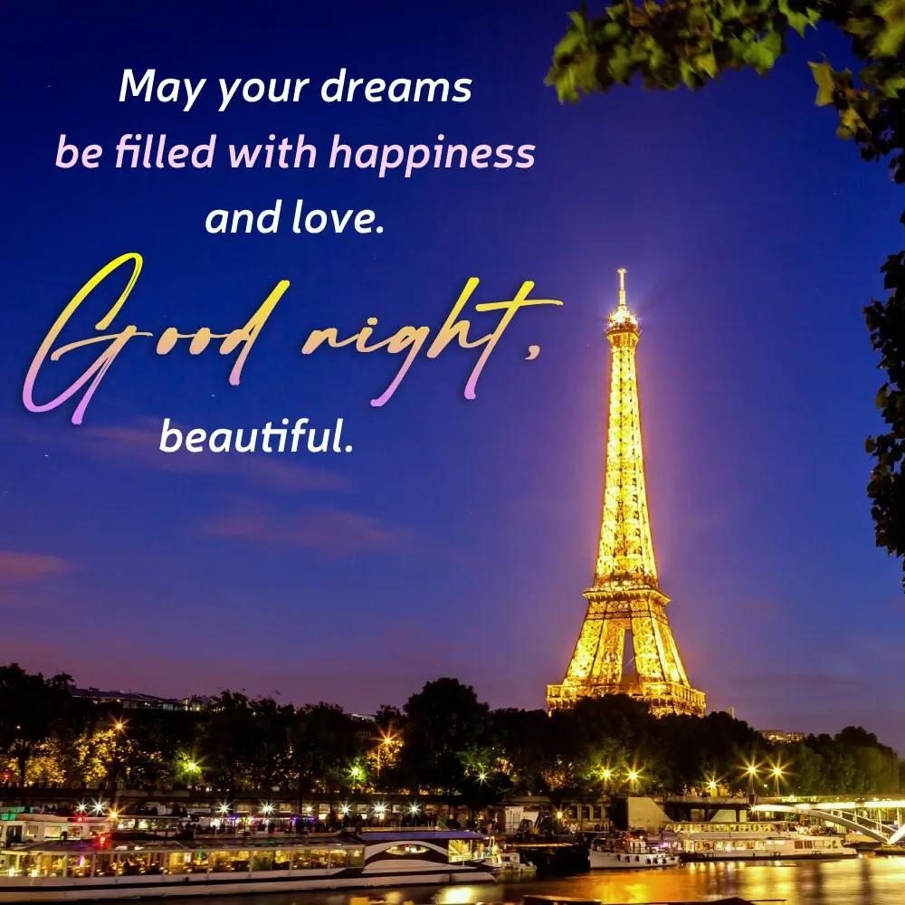 Beautiful Good Night Wife