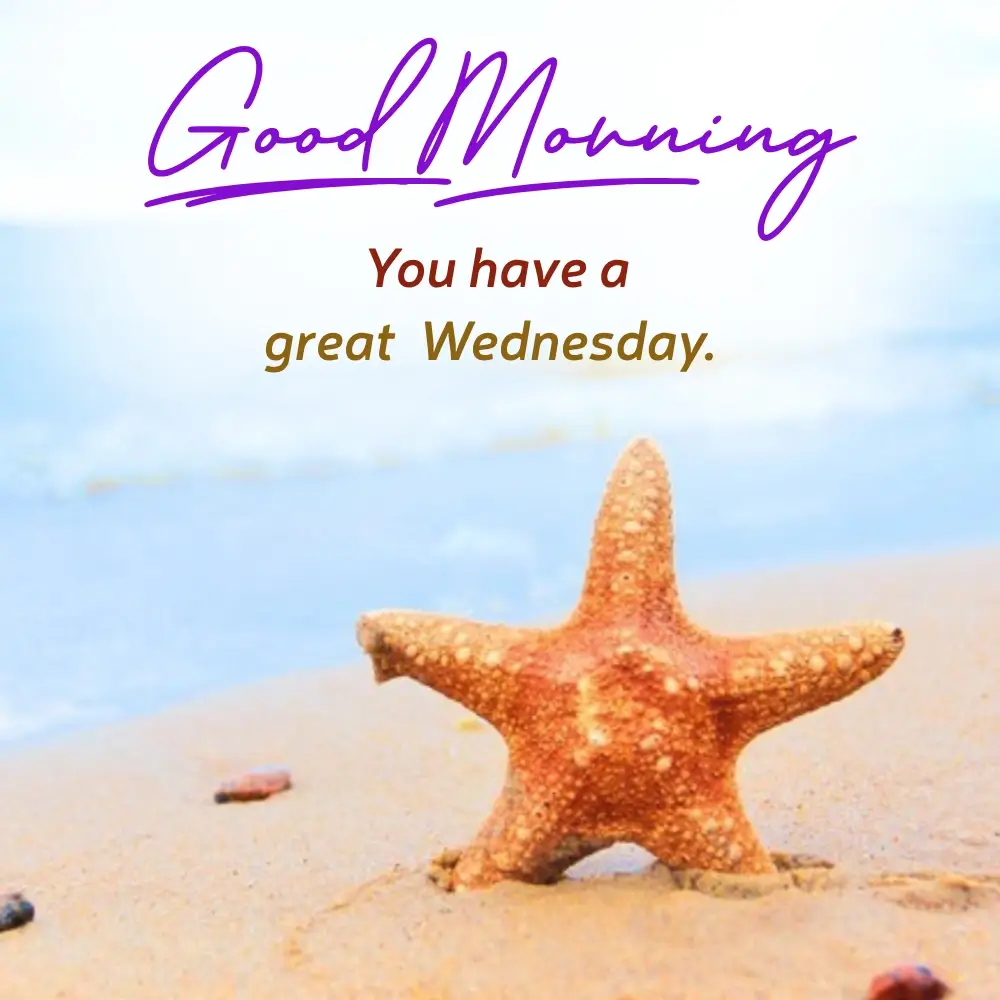 Beautiful Wednesday Images