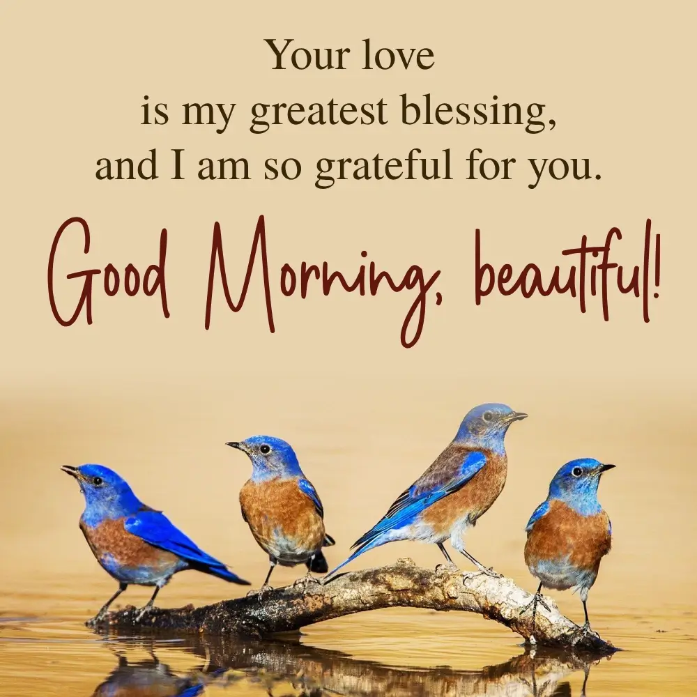 Birds Wallpaper 3d