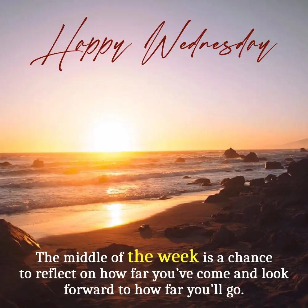 Cute Wednesday Greetings