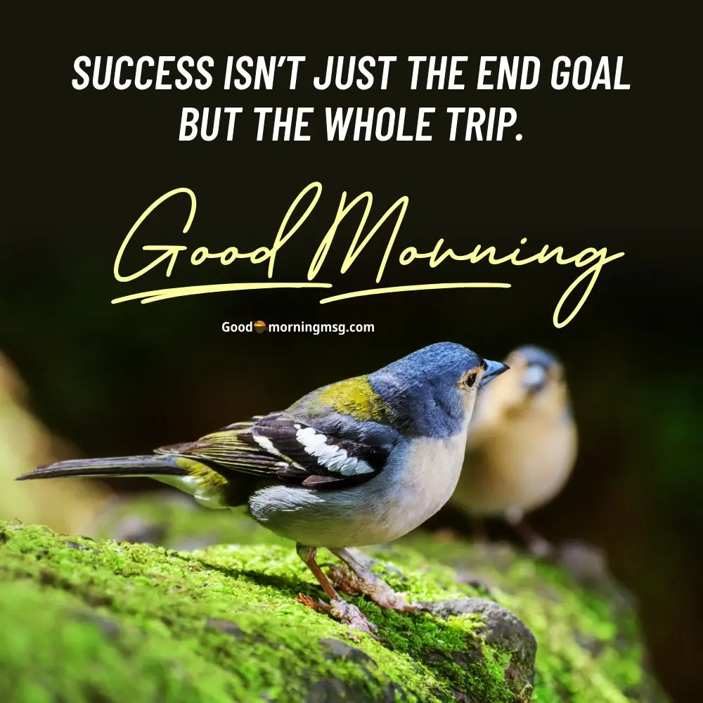 Daily Motivational Quotes For Success