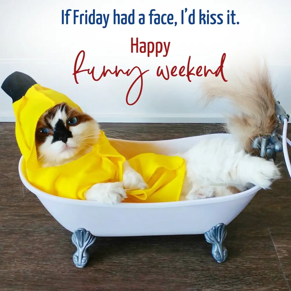 Enjoy Weekend Images For Love And Motivation