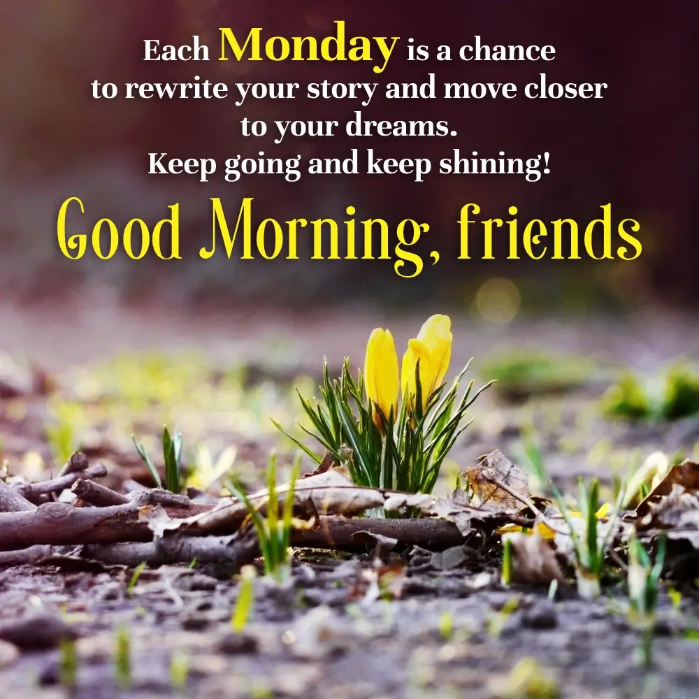 Funny Monday Motivation Quotes
