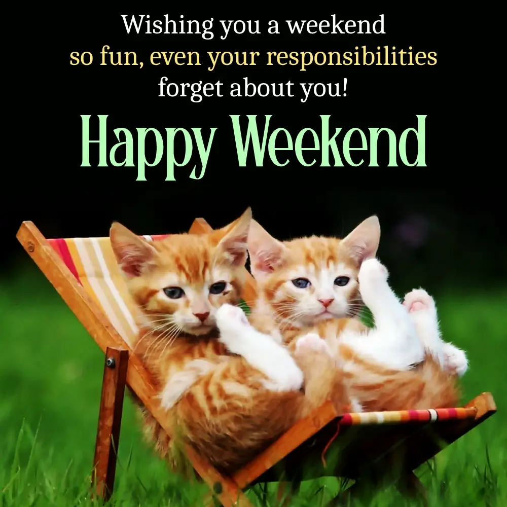Funny Weekend Memes For Friends