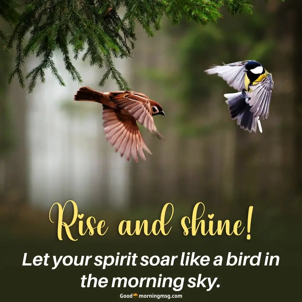 G Morning