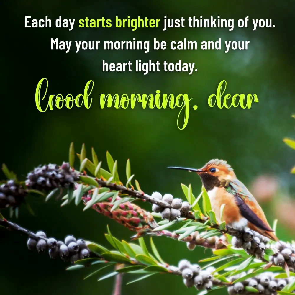 Good Mornin Bird Song