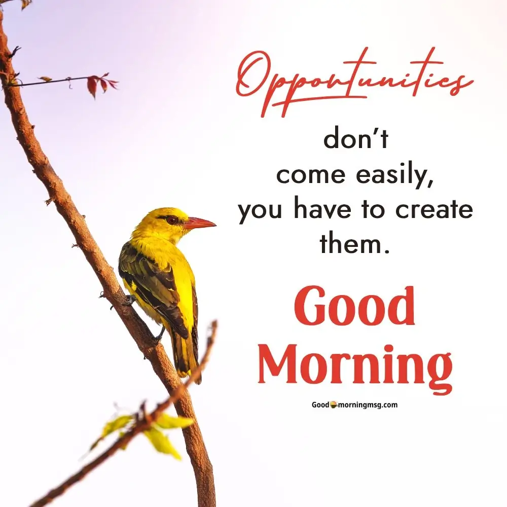 Good Morning 4k Hd Images Nature Free Download