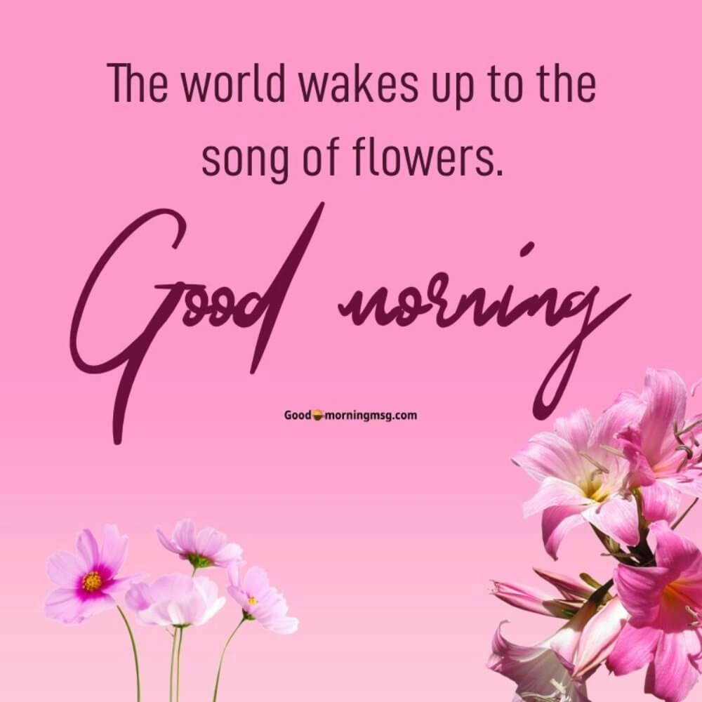 Good Morning And Good Night Images Flowers I Blessingsimages
