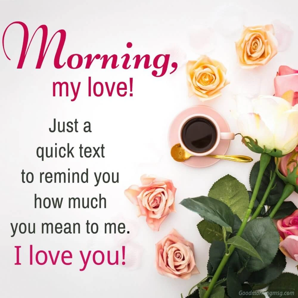 Good Morning Beautiful Rose I Blessingsimages