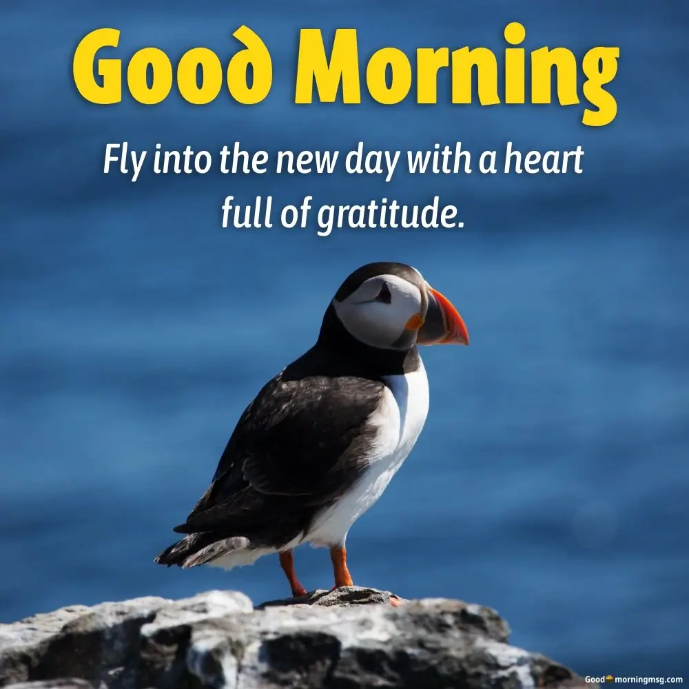 Good Morning Bird Greetings