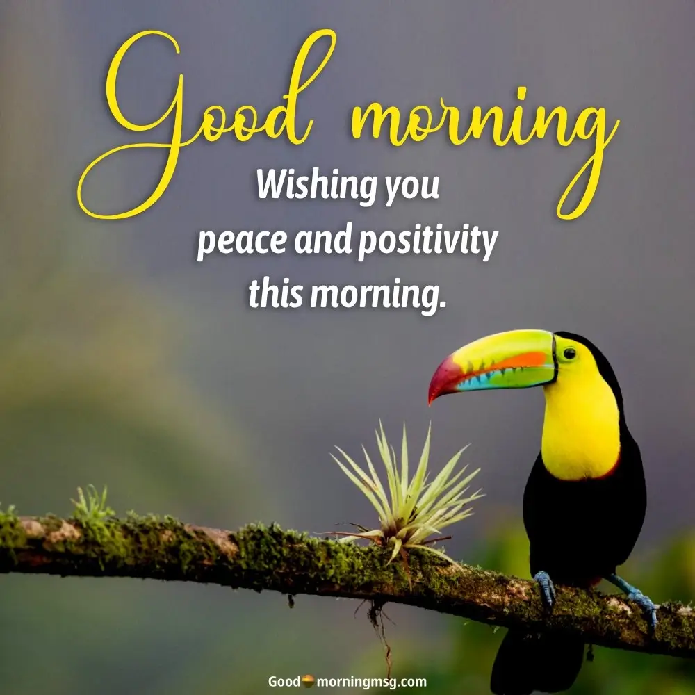 Good Morning Bird Pictures