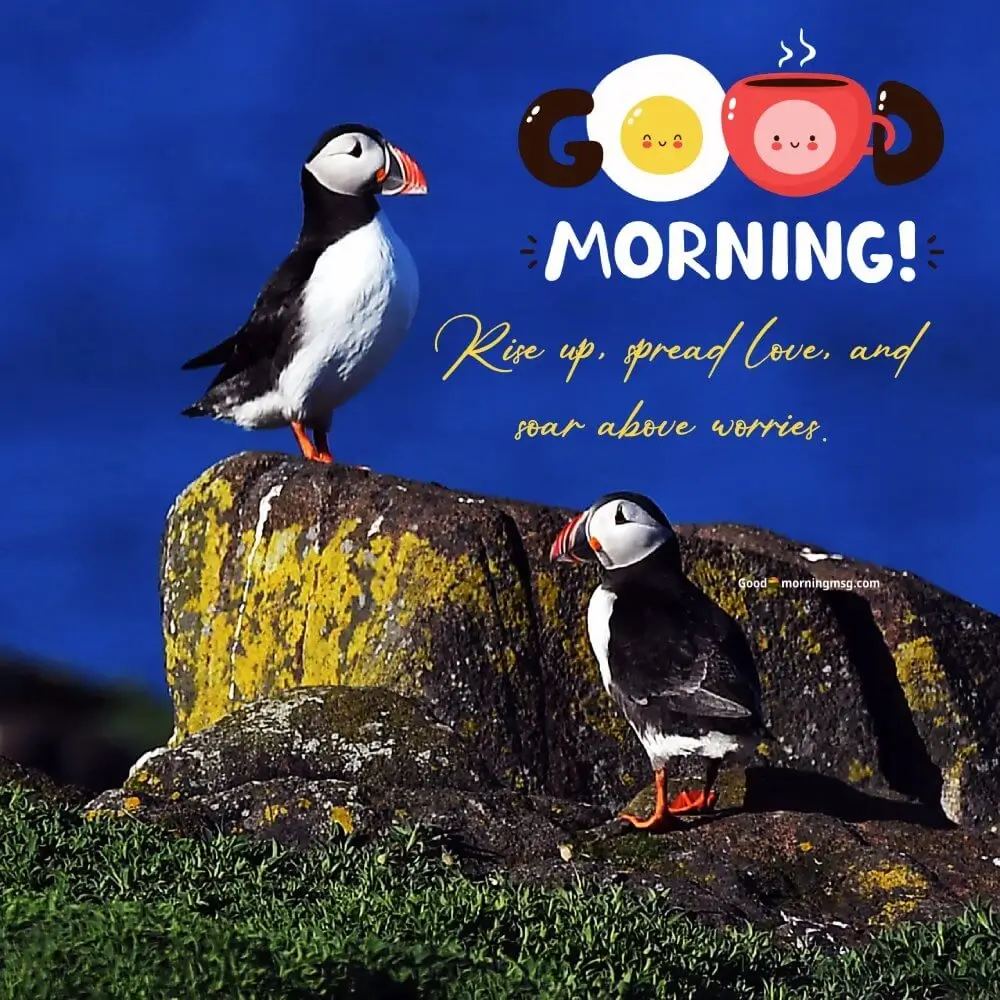 Good Morning Bird Quotes