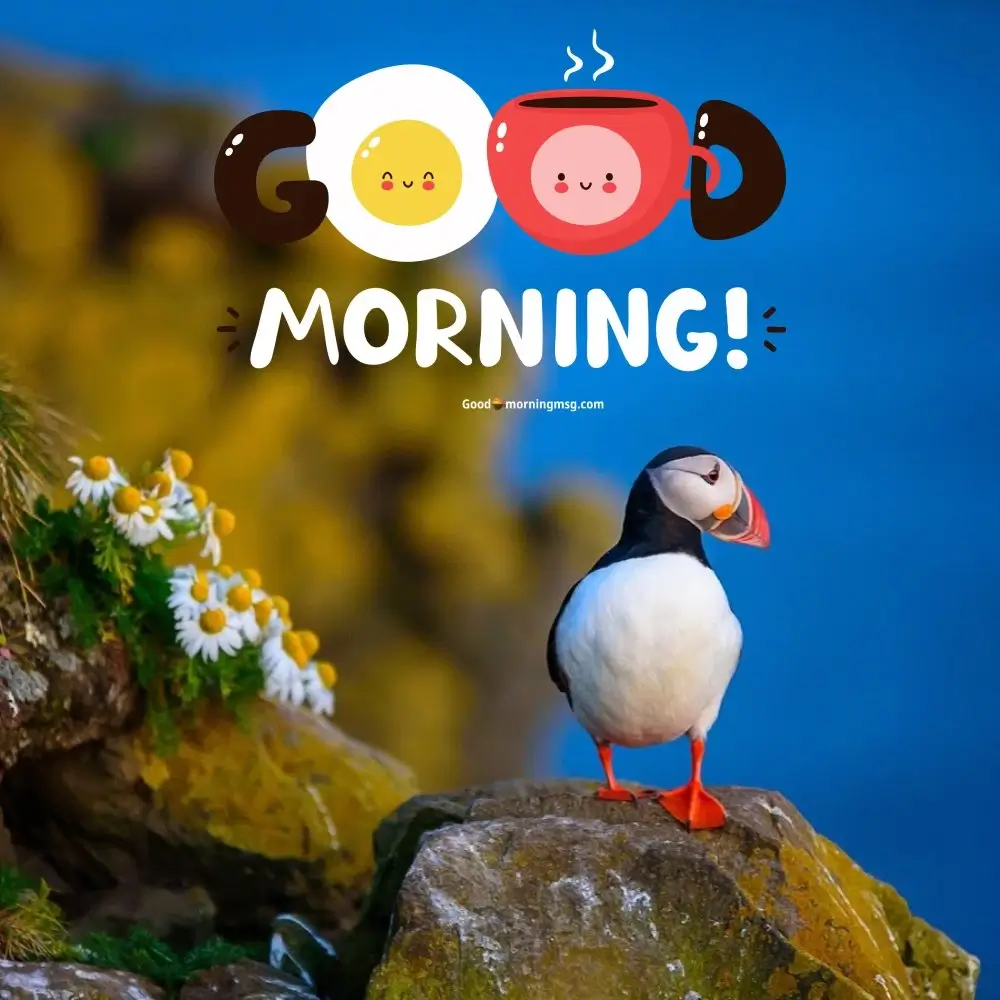 Good Morning Bird Sound Effects