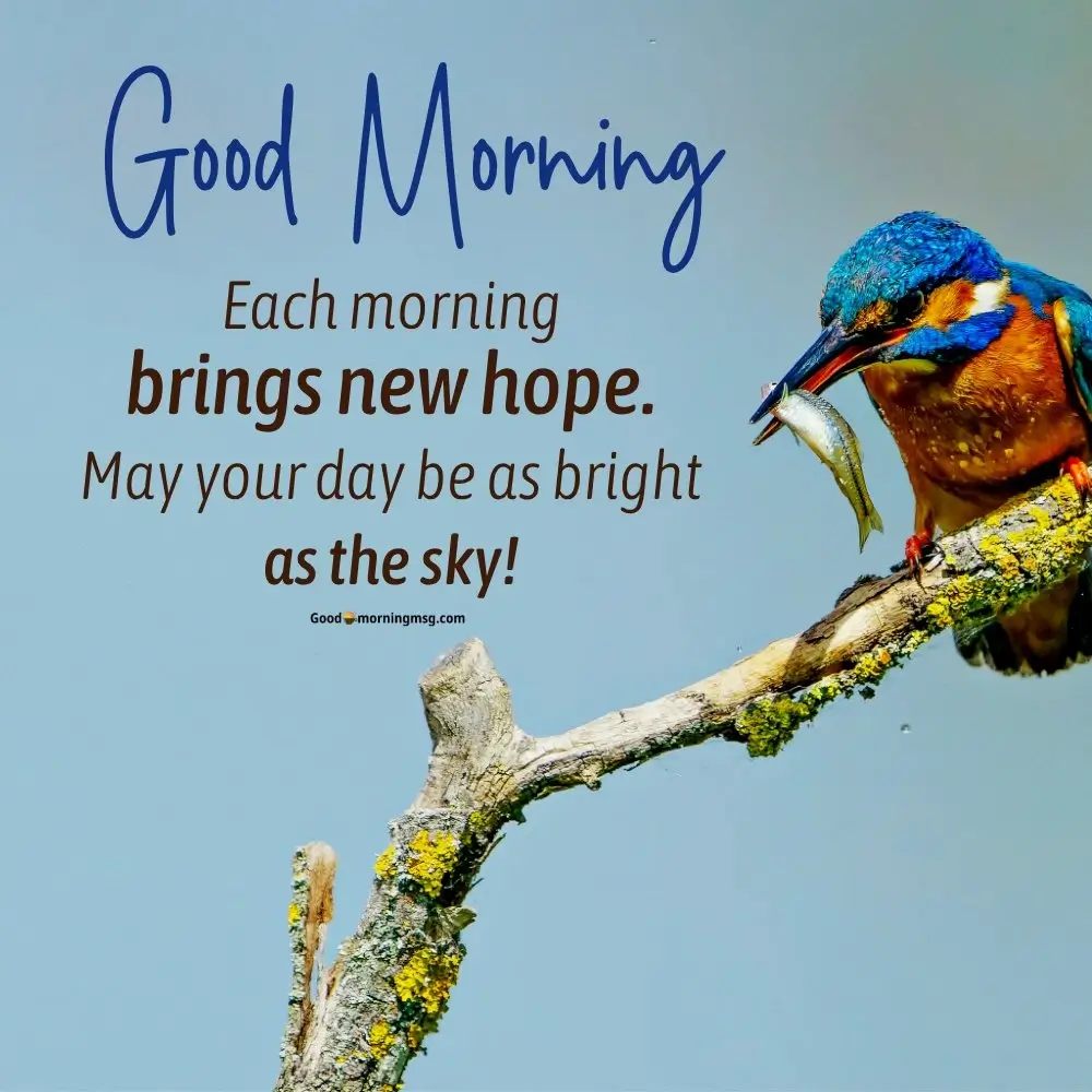Good Morning Bird Sounds For Relaxation