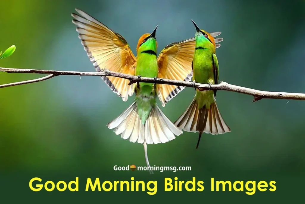 Good Morning Bird1