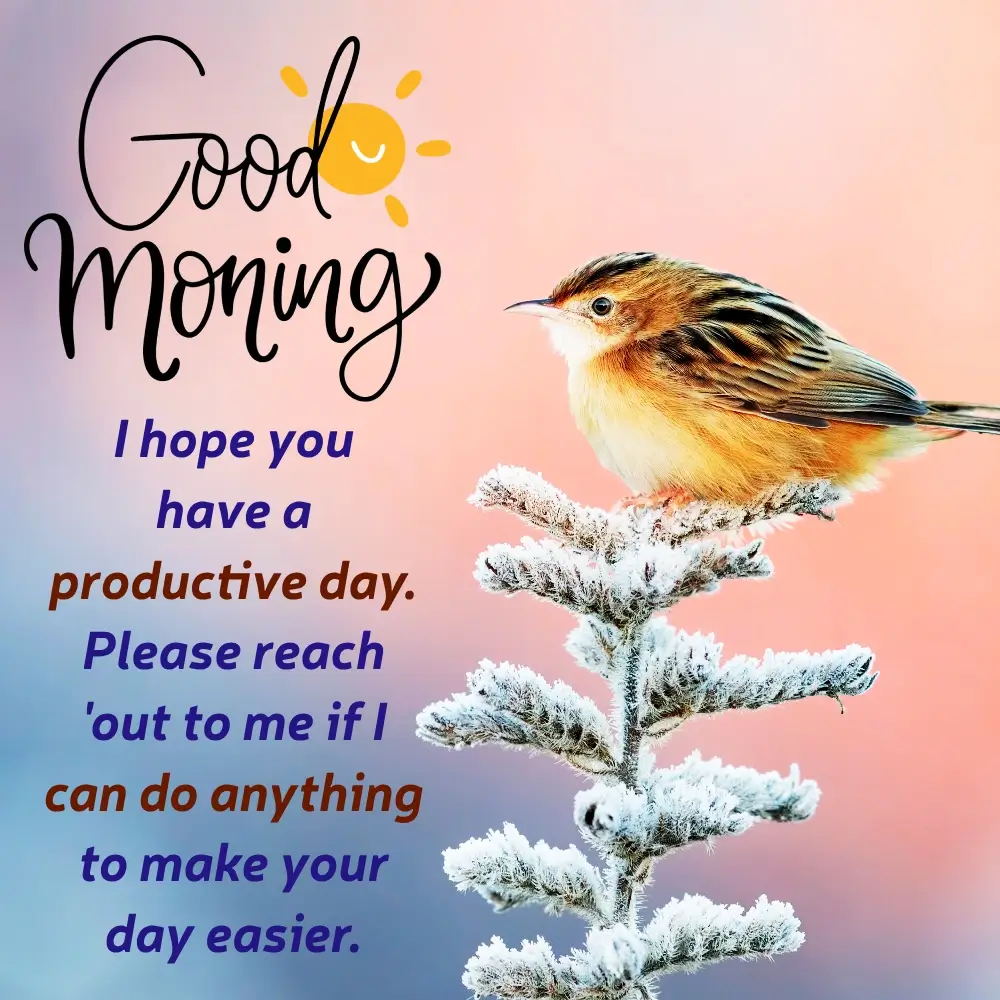 Good Morning Birds Images For Whatsapp