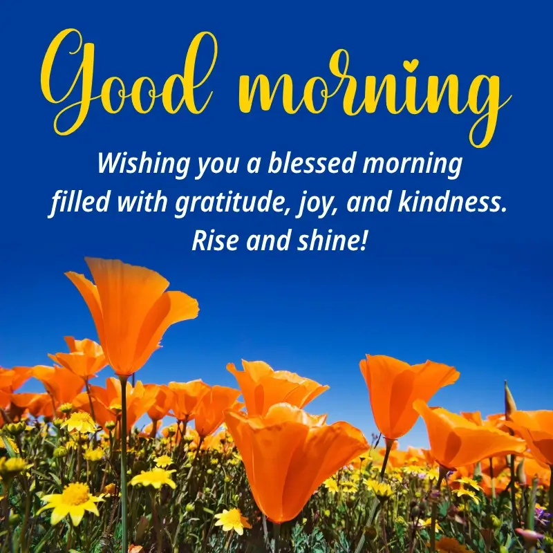 Good Morning Blessings Wednesday