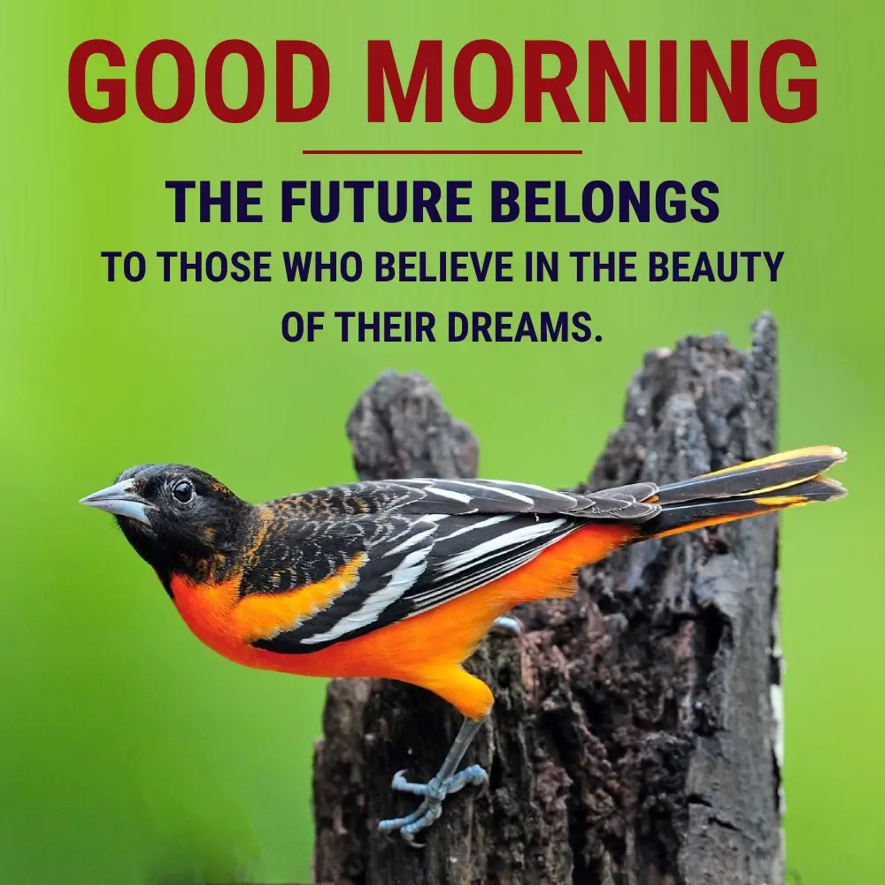 Good Morning Brids Flying Quotes