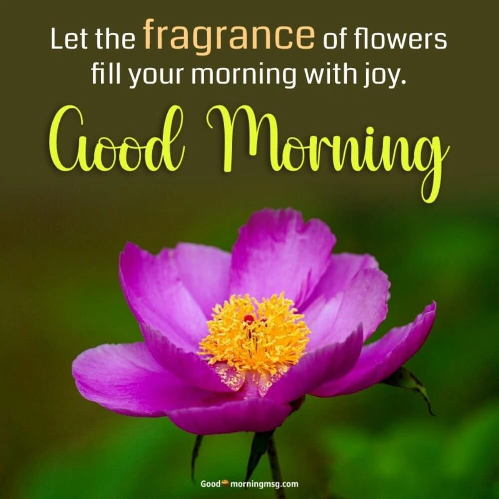 Good Morning Flower Gif I Blessingsimages