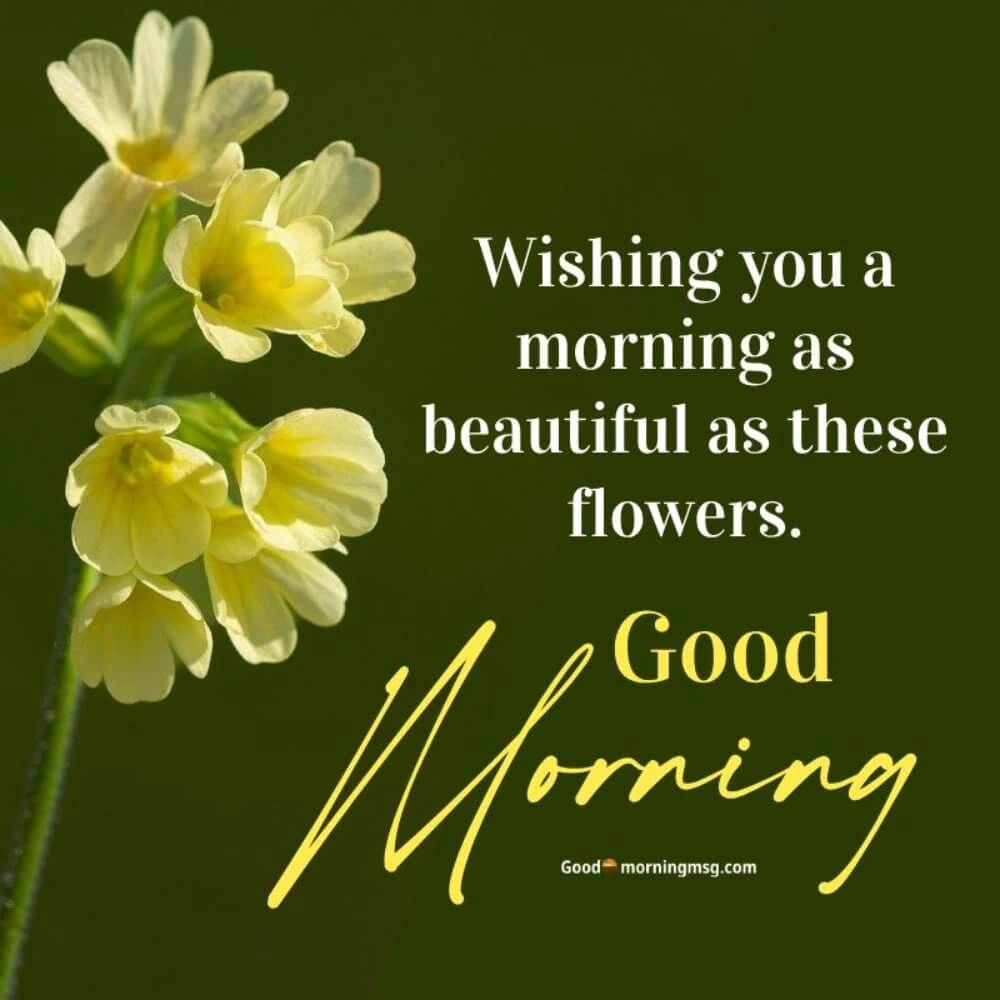 Good Morning Flower Message I Blessingsimages
