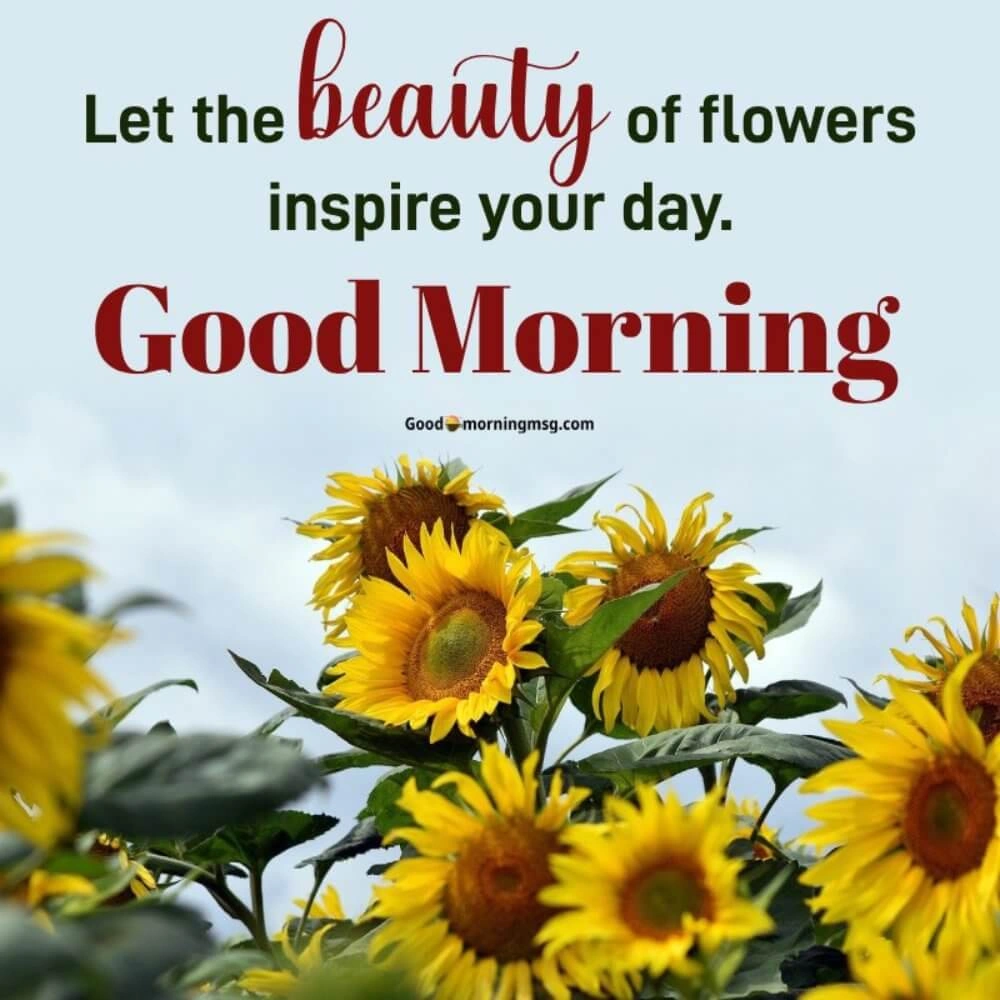 Good Morning Flower Quotes I Blessingsimages