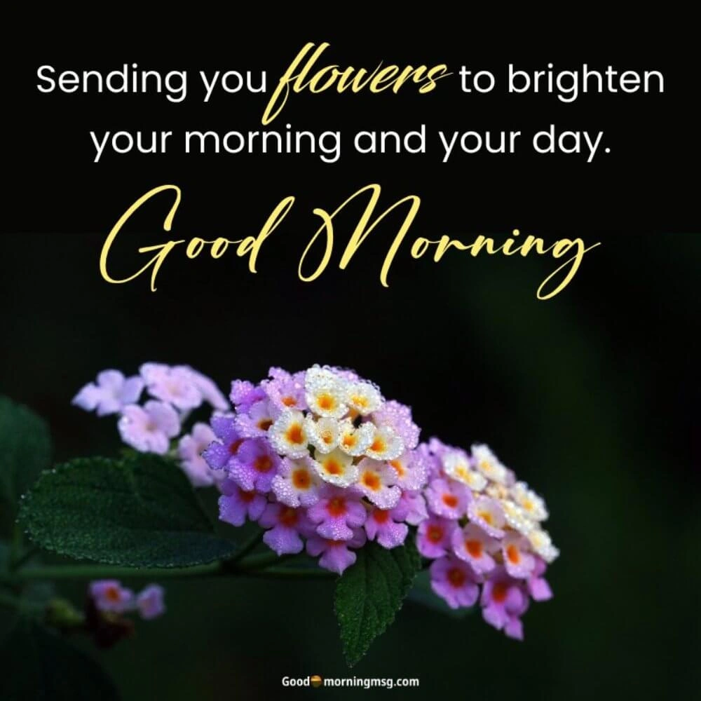 Good Morning Flower Wishes I Blessingsimages
