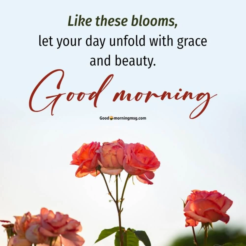 Good Morning Flowers Images App I Blessingsimages