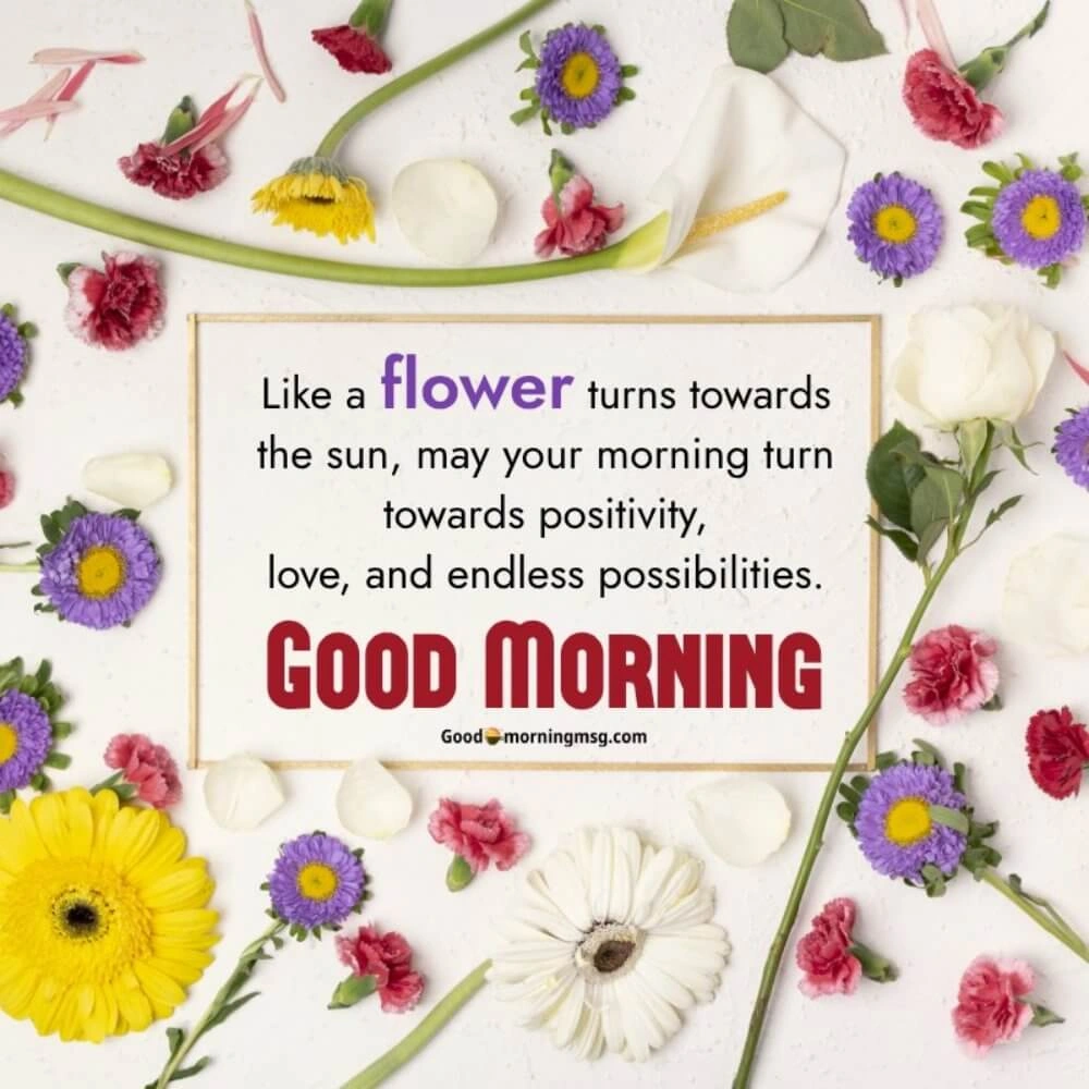 Good Morning Flowers Images Hd New I Blessingsimages