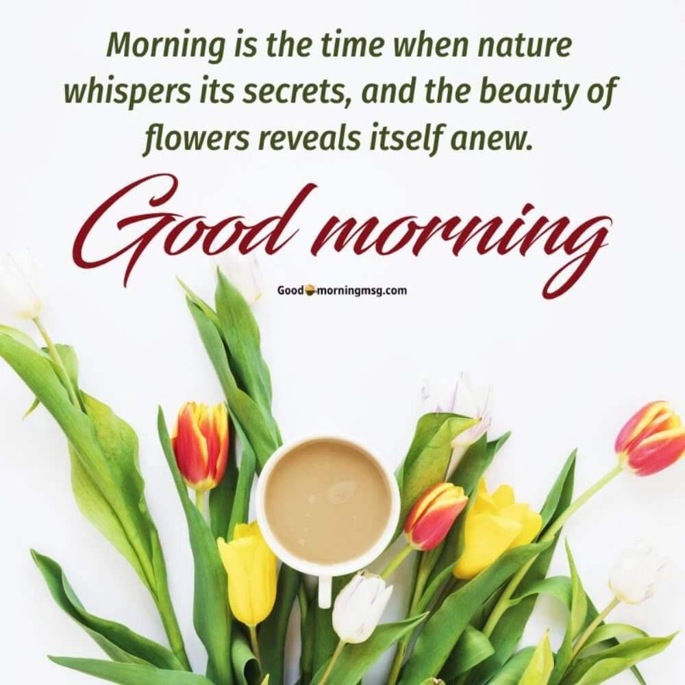 Good Morning Flowers Images I Blessingsimages