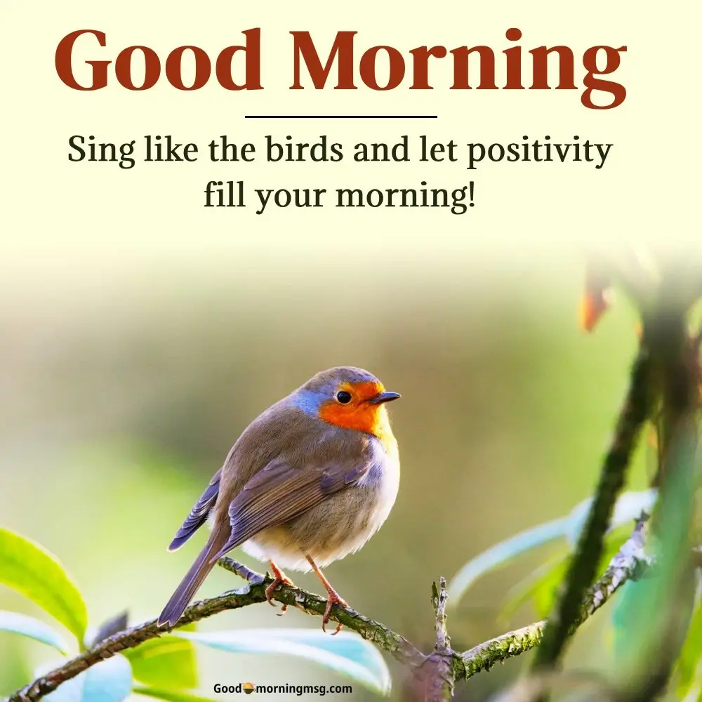 Good Morning Good Morning