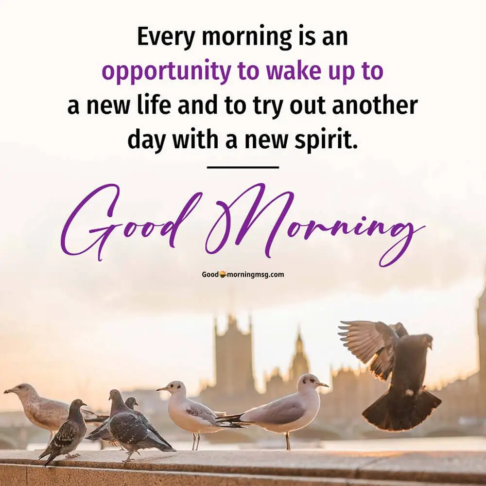 Good Morning Greetings Quotes