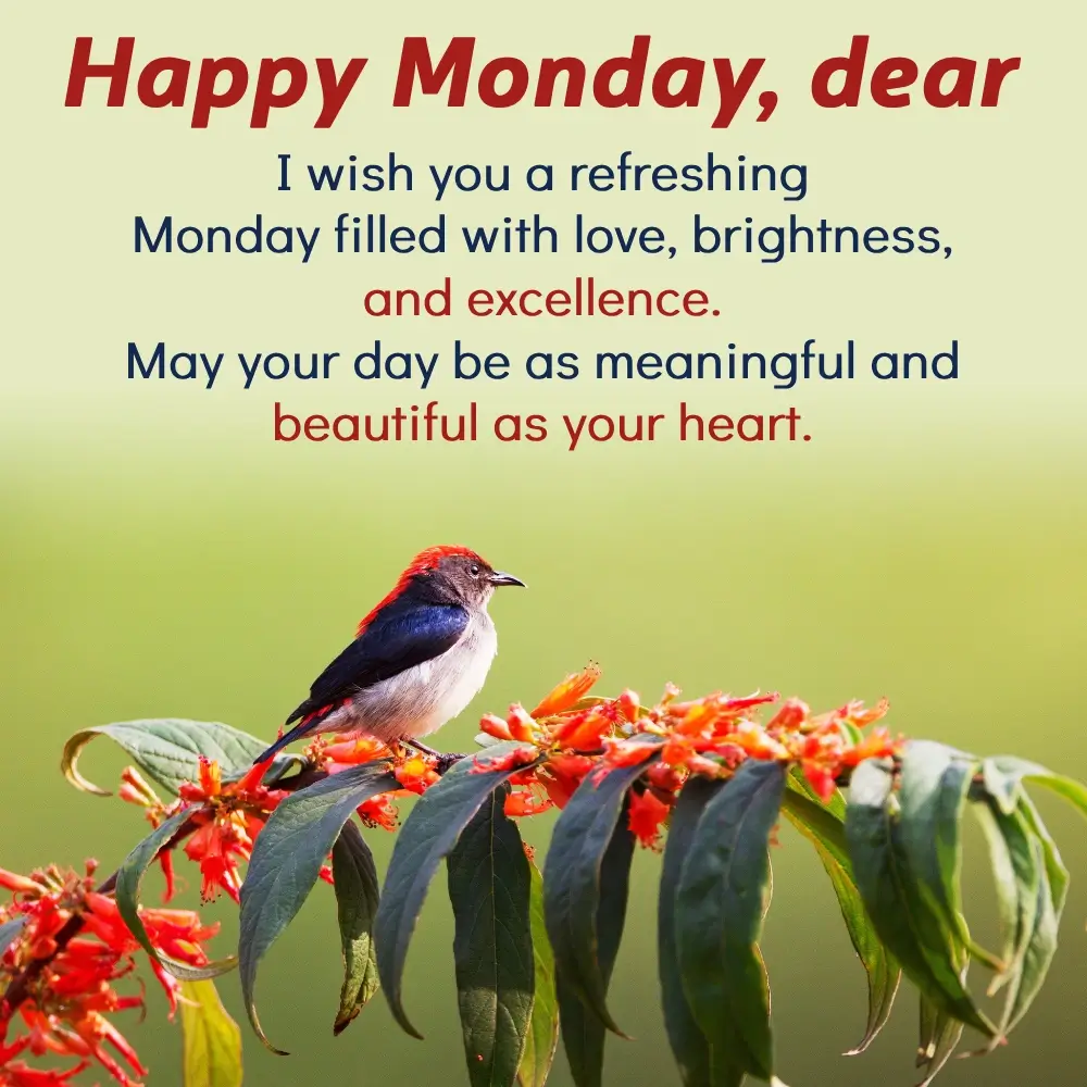 Good Morning Happy Monday Images Hd