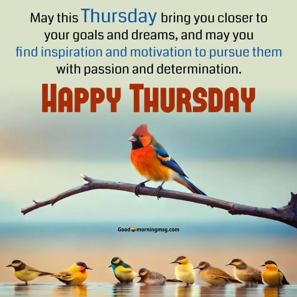 Good Morning Happy Thursday Images